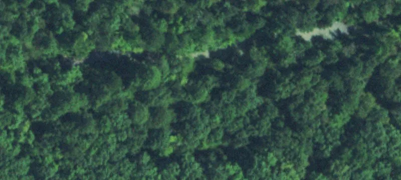 Honobia Land with Versatile Potential