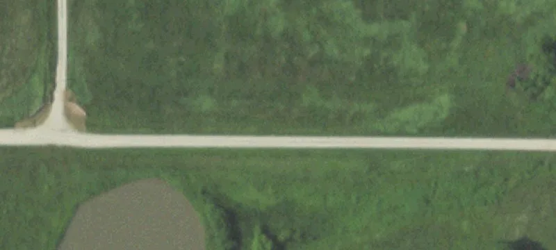 247 Acre Grass Farm