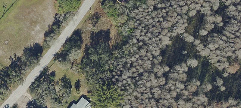 Residential Land in Golden Acres