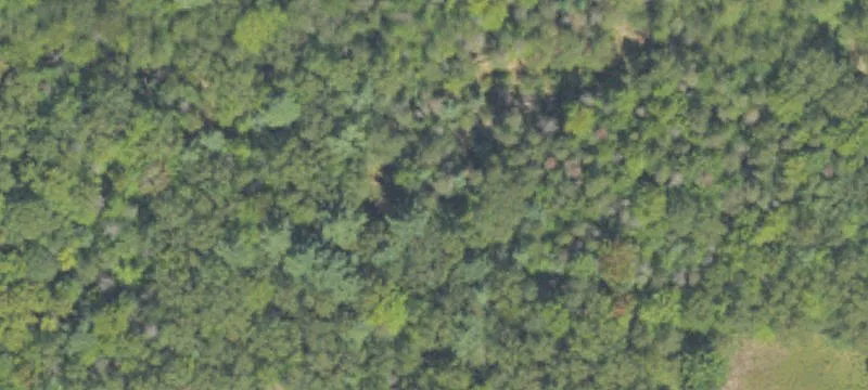 Land Parcel Near Muskegon