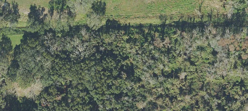 Ocoee Industrial Land For Sale