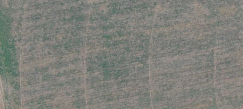 Fort Jones Ranch with Acreage
