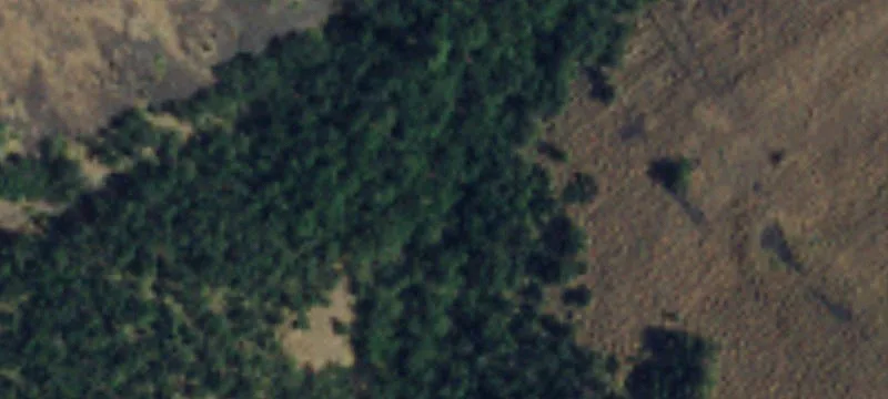 120-Acre Cattle Ranch