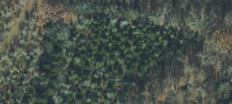 108 Acre Tennessee Oasis