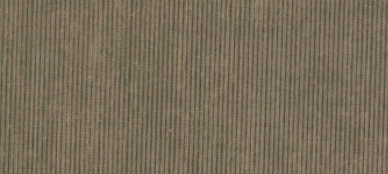 Established Cabernet Sauvignon Vineyard