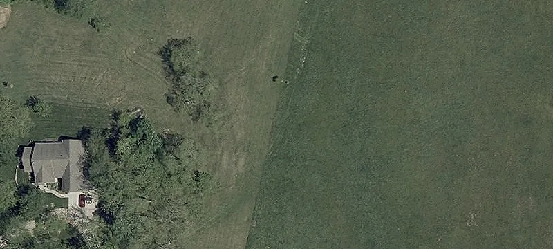 Certified Organic Farmland For Sale