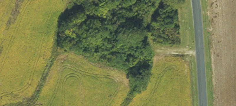 Residential Development Opportunity in Chocowinity