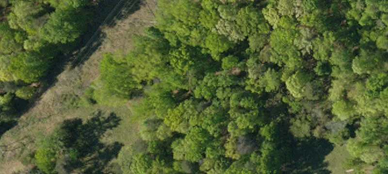 66.66 Acres Near I-85
