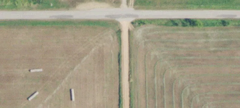 Poultry Egg Farm Opportunity