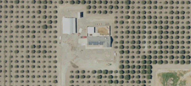 Productive Pistachio Orchard For Sale