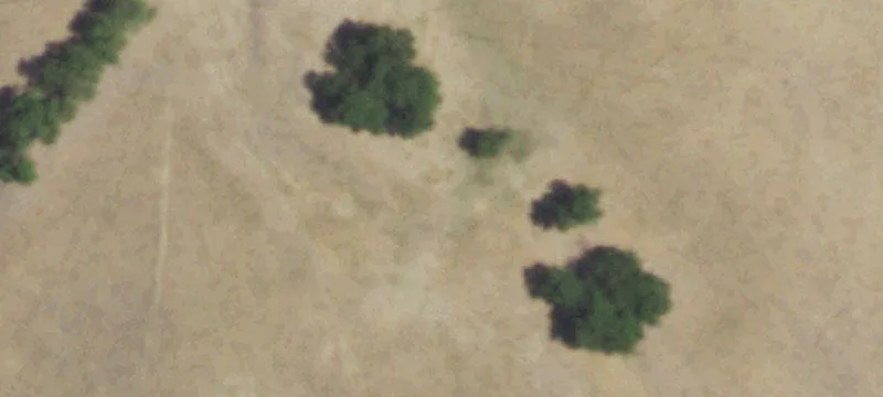 Land Near Ennis on FM
