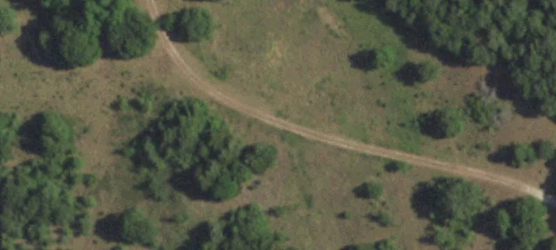 Texas Land with Agricultural Exemption