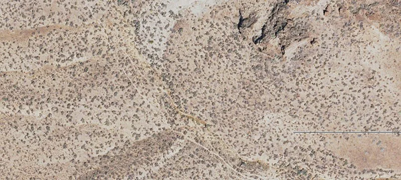 Agricultural Land for Sale