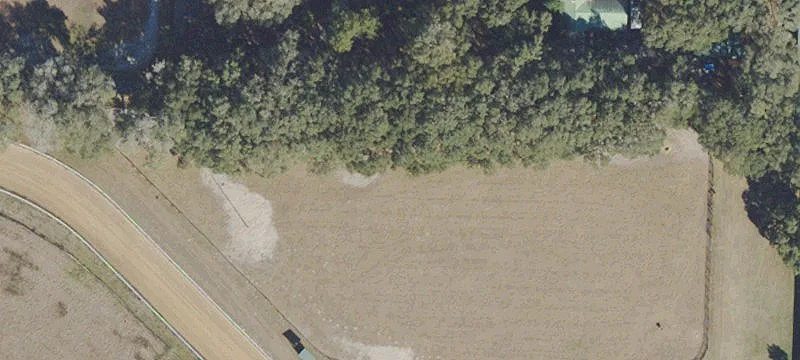 Elite Equestrian Estate in Williston