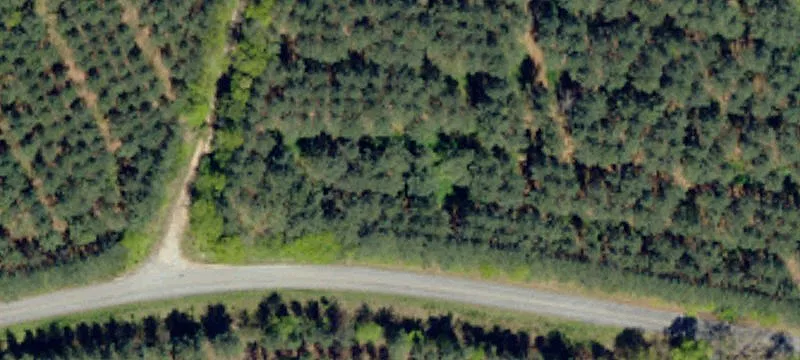 Large Acreage Opportunity Near Greenville
