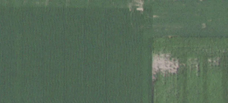 199.94 Acres of Land