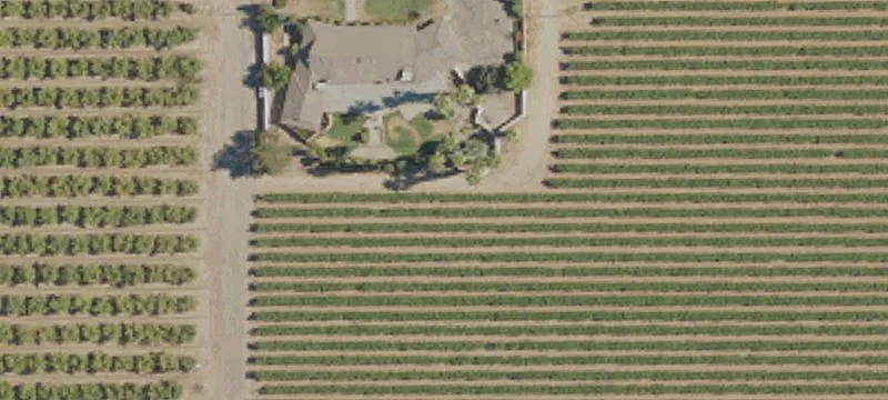 Fresno Almond and Grape Ranch