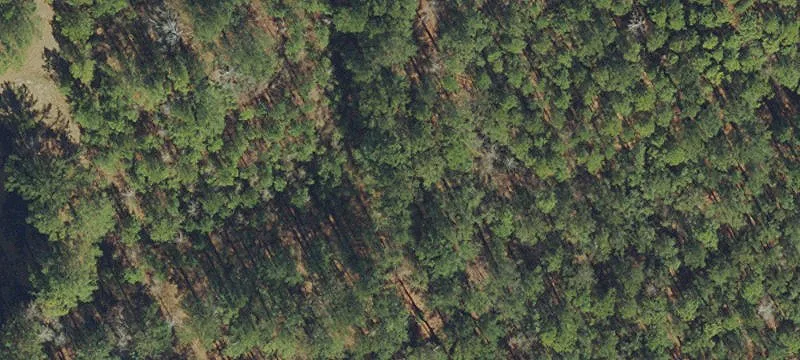 Crestview Vacant Land Opportunity