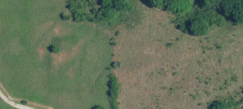 Secluded 65-Acre Paradise