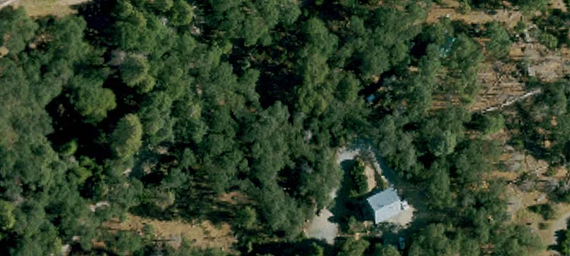 Secluded Land Near National Forest
