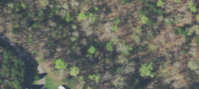 Residential Land Ready for Development