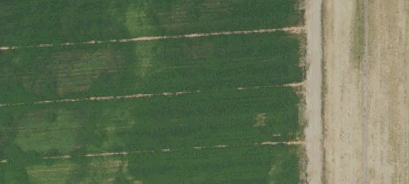 Lemoore Ranch with Dual-Source Water