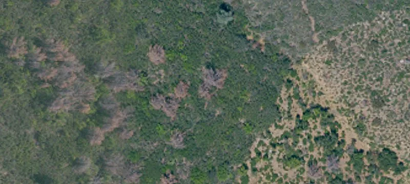 Kelseyville Land with Lake Views