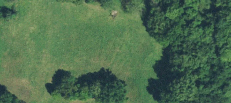 20-Acre Country Property