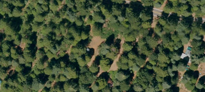 Strawberry Valley Acreage with Cabins