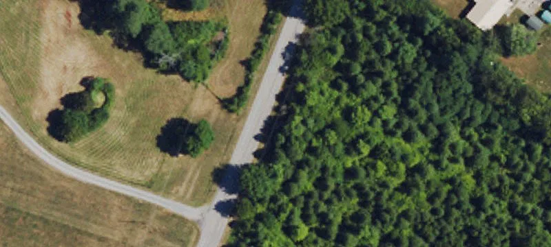 31 Acres B-2 Zoned Land
