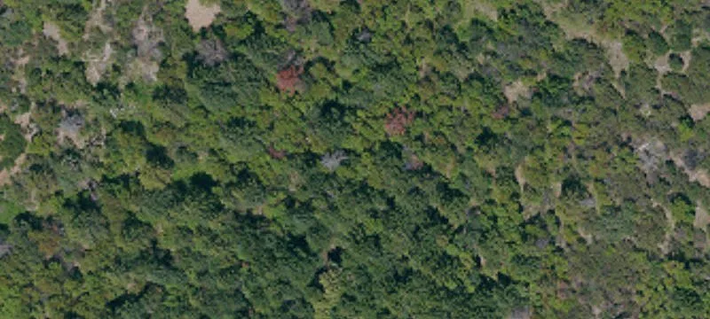 600+ Acre Mountain Retreat