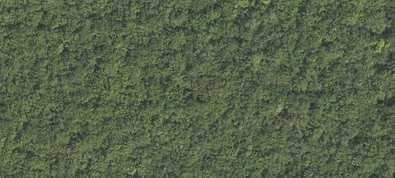 Vero Beach Acreage Opportunity
