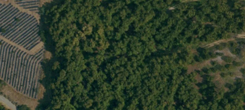 Scenic Orchard Land in Vista