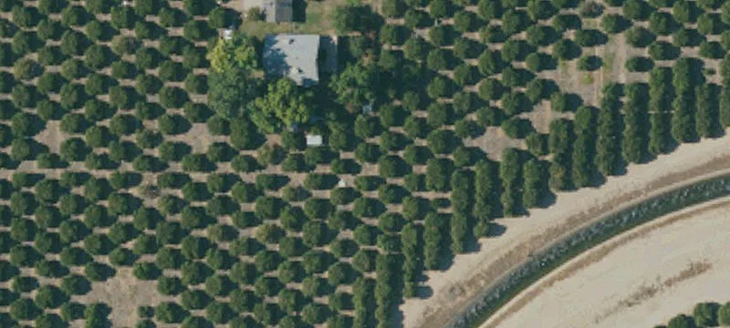 20-Acre Navel Farm with Home