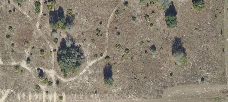 Suncoast Parkway Development Opportunity