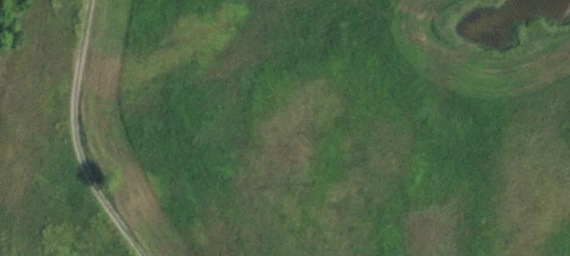 Heavily Wooded Land For Sale