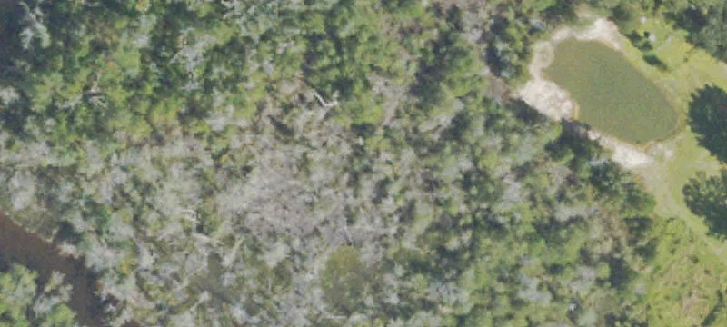 9.59 Acres of Land