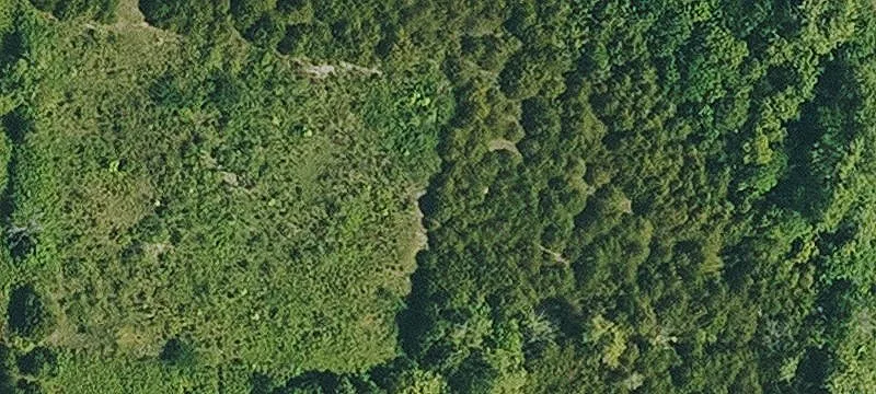 Large Carbondale Property on Acreage