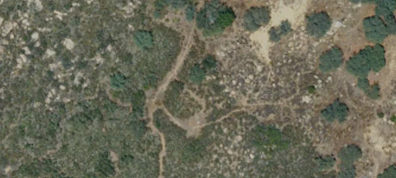 Land