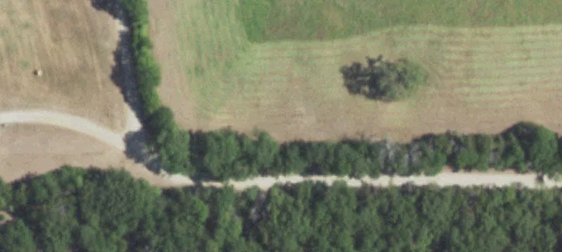 East Texas Land Opportunity