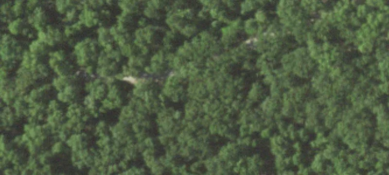 241 Acres Near Lake Ozarks