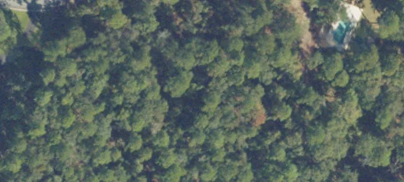 2.7 Acre Homesite Opportunity