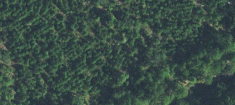 Scenic Land Near Sardis Lake