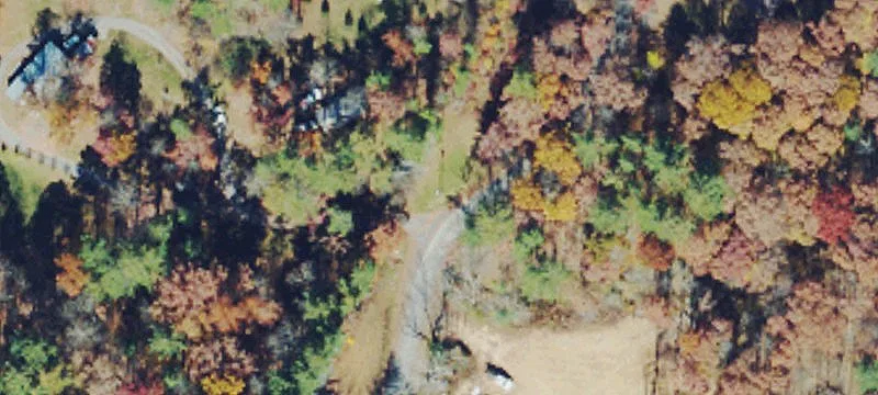 Cabin on Wooded Acreage