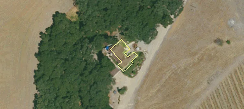 Organic Vineyard Estate in Paso Robles