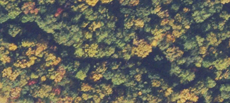 3.25 Acre Mountain View Parcel