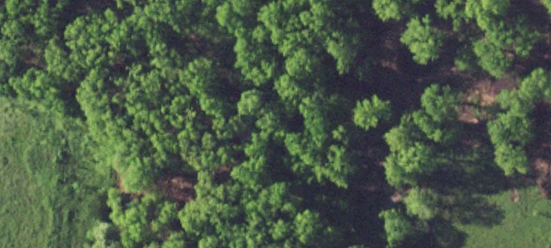 30 Acres of Rural Land