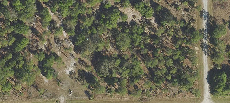 Montura Ranches 1.25-Acre Lot