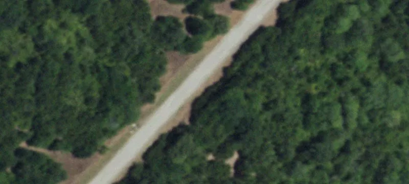 183.7 Acres with Mineral Rights