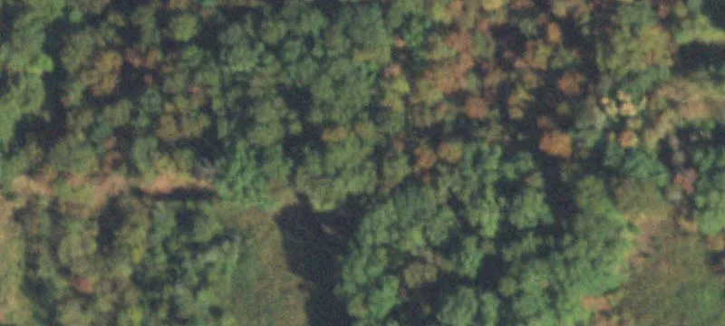 24 Acres Wooded Hunting Land